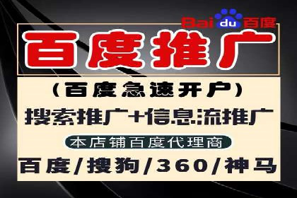 SEM广告投放的技巧与策略——成功案例分享